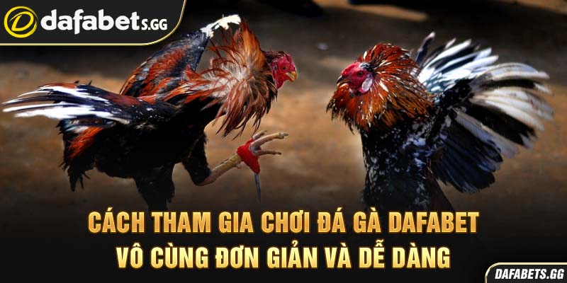 Cách tham gia chơi đá gà Dafabet vô cùng đơn giản và dễ dàng
