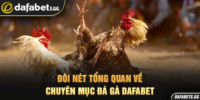 Đôi nét tổng quan về chuyên mục đá gà Dafabet